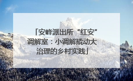 安峰派出所“红安”调解室：小调解撬动大治理的乡村实践