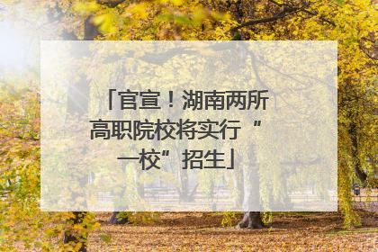 官宣！湖南两所高职院校将实行“一校”招生