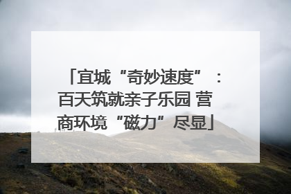 宜城“奇妙速度”：百天筑就亲子乐园 营商环境“磁力”尽显