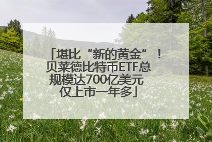 堪比“新的黄金”！贝莱德比特币ETF总规模达700亿美元 仅上市一年多
