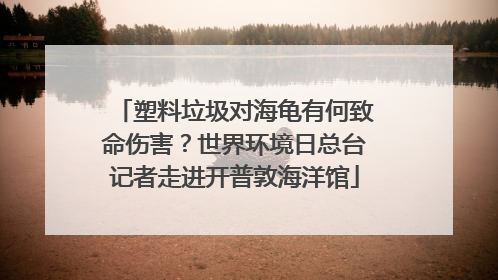 塑料垃圾对海龟有何致命伤害？世界环境日总台记者走进开普敦海洋馆