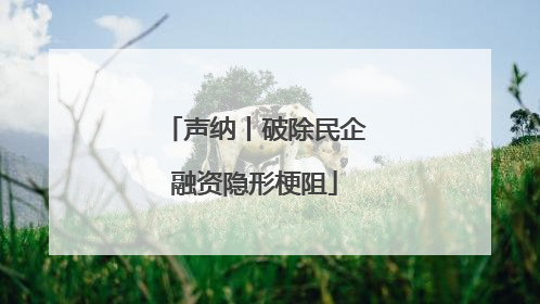 声纳丨破除民企融资隐形梗阻
