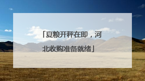 夏粮开秤在即，河北收购准备就绪