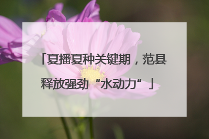 夏播夏种关键期，范县释放强劲“水动力”