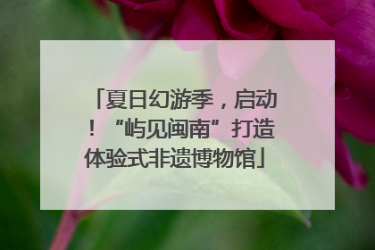 夏日幻游季，启动！“屿见闽南”打造体验式非遗博物馆