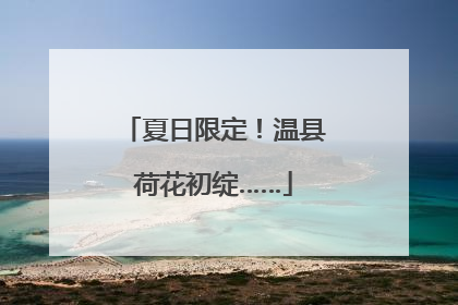 夏日限定！温县荷花初绽……