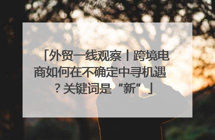 外贸一线观察丨跨境电商如何在不确定中寻机遇？关键词是“新”