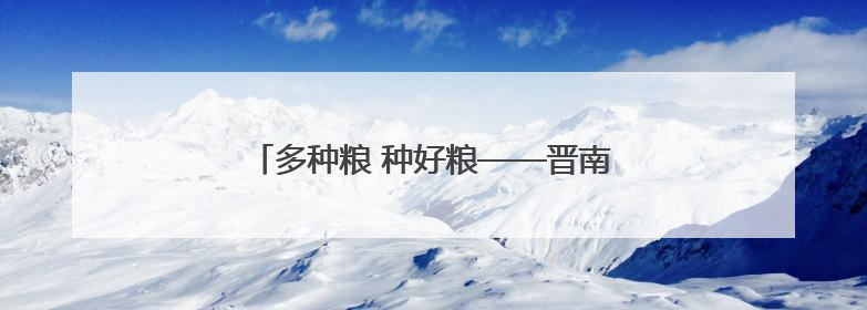 多种粮 种好粮——晋南“麦田夫妻档”忙夏收