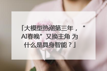 大模型热潮第三年，“AI春晚”又换主角 为什么是具身智能？
