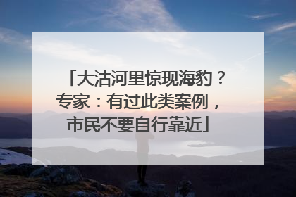 大沽河里惊现海豹？专家：有过此类案例，市民不要自行靠近