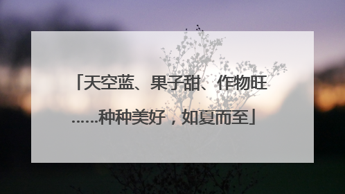 天空蓝、果子甜、作物旺……种种美好，如夏而至