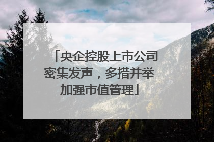 央企控股上市公司密集发声，多措并举加强市值管理