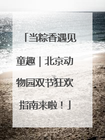 当粽香遇见童趣｜北京动物园双节狂欢指南来啦！