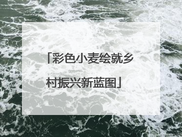 彩色小麦绘就乡村振兴新蓝图