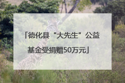德化县“大先生”公益基金受捐赠50万元