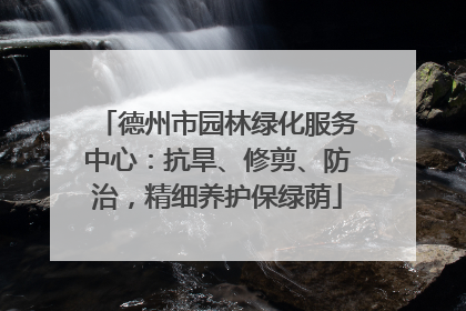 德州市园林绿化服务中心：抗旱、修剪、防治，精细养护保绿荫