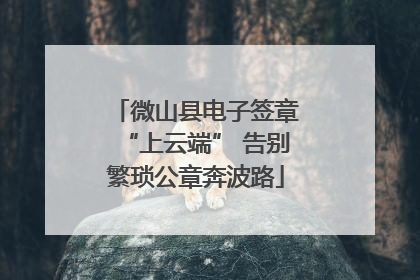 微山县电子签章“上云端” 告别繁琐公章奔波路