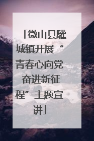 微山县驩城镇开展“青春心向党 奋进新征程”主题宣讲