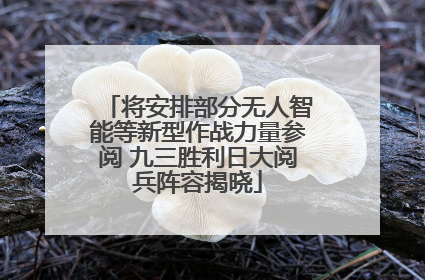 将安排部分无人智能等新型作战力量参阅 九三胜利日大阅兵阵容揭晓