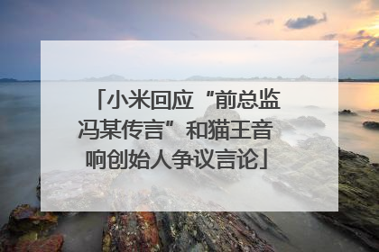 小米回应“前总监冯某传言”和猫王音响创始人争议言论
