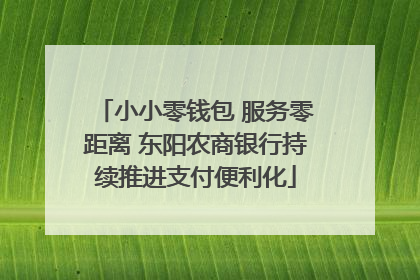 小小零钱包 服务零距离 东阳农商银行持续推进支付便利化