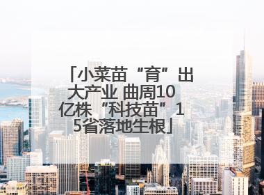 小菜苗“育”出大产业 曲周10亿株“科技苗”15省落地生根