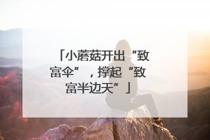 小蘑菇开出“致富伞”，撑起“致富半边天”