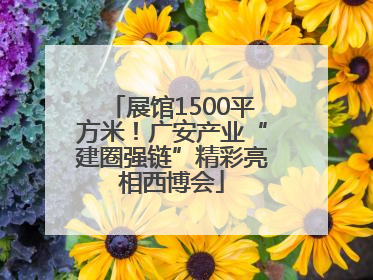 展馆1500平方米！广安产业“建圈强链”精彩亮相西博会