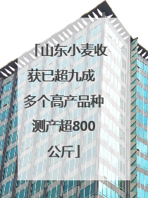 山东小麦收获已超九成 多个高产品种测产超800公斤