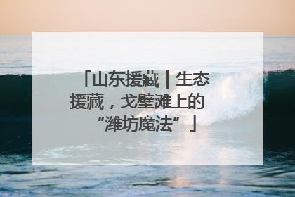 山东援藏｜生态援藏，戈壁滩上的“潍坊魔法”