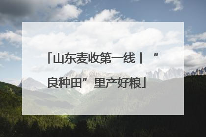 山东麦收第一线丨“良种田”里产好粮