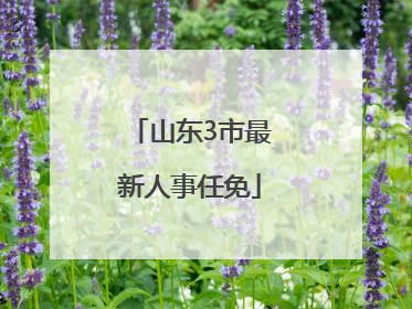 山东3市最新人事任免