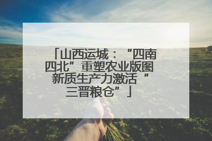山西运城：“四南四北”重塑农业版图 新质生产力激活“三晋粮仓”