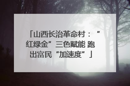山西长治革命村：“红绿金”三色赋能 跑出富民“加速度”