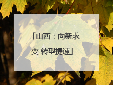 山西：向新求变 转型提速