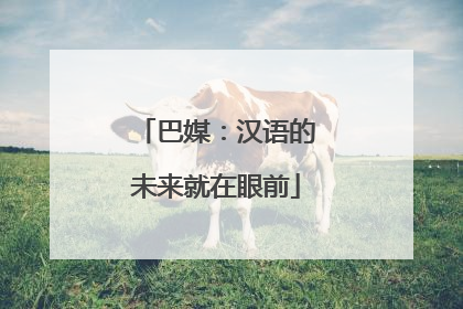 巴媒：汉语的未来就在眼前