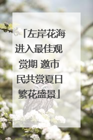 左岸花海进入最佳观赏期 邀市民共赏夏日繁花盛景