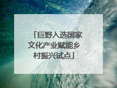 巨野入选国家文化产业赋能乡村振兴试点