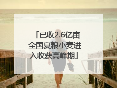 已收2.6亿亩 全国夏粮小麦进入收获高峰期