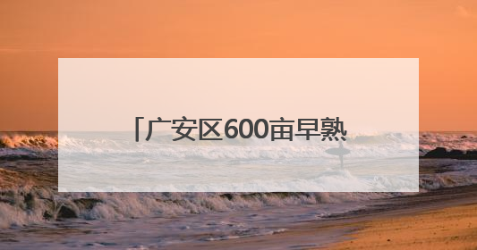广安区600亩早熟黄桃抢“鲜”上市