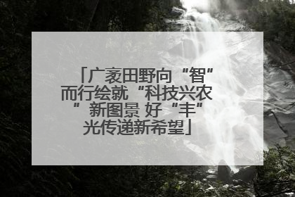 广袤田野向“智”而行绘就“科技兴农”新图景 好“丰”光传递新希望