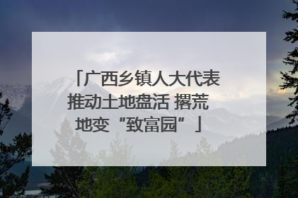 广西乡镇人大代表推动土地盘活 撂荒地变“致富园”