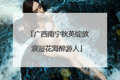 广西南宁秋英绽放 浪漫花海醉游人