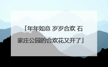 年年如意 岁岁合欢 石家庄公园的合欢花又开了
