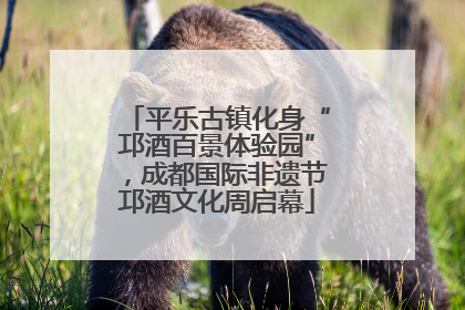 平乐古镇化身“邛酒百景体验园”，成都国际非遗节邛酒文化周启幕