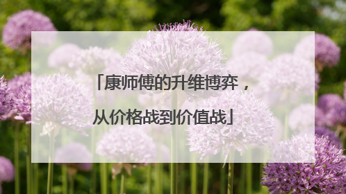 康师傅的升维博弈，从价格战到价值战