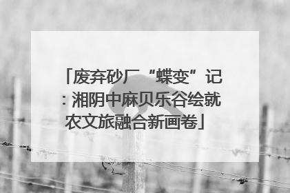 废弃砂厂“蝶变”记：湘阴中麻贝乐谷绘就农文旅融合新画卷