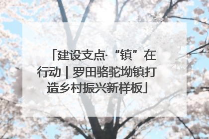 建设支点·“镇”在行动｜罗田骆驼坳镇打造乡村振兴新样板