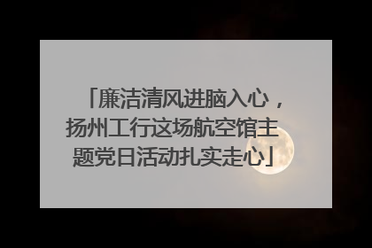 廉洁清风进脑入心，扬州工行这场航空馆主题党日活动扎实走心