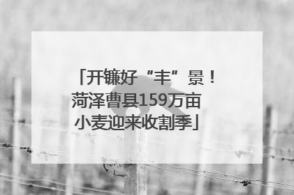 开镰好“丰”景！菏泽曹县159万亩小麦迎来收割季